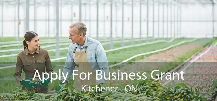 Apply For Business Grant Kitchener - ON